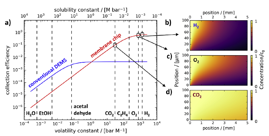 Chip-based vs differentially pumped EC-MS. Model comparison of chip-based and differentially pumped electrochemistry – mass spectrometry in a flow system at steady state – DOI