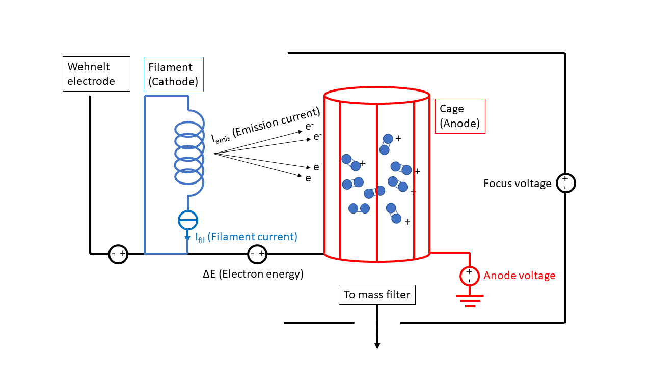 Schematic of an EC-MS electron gun showing the Wehnelt electrode, filament cathode emitting electrons, and cage anode ionizing gas molecules, with focus and anode voltage connections to the mass filter