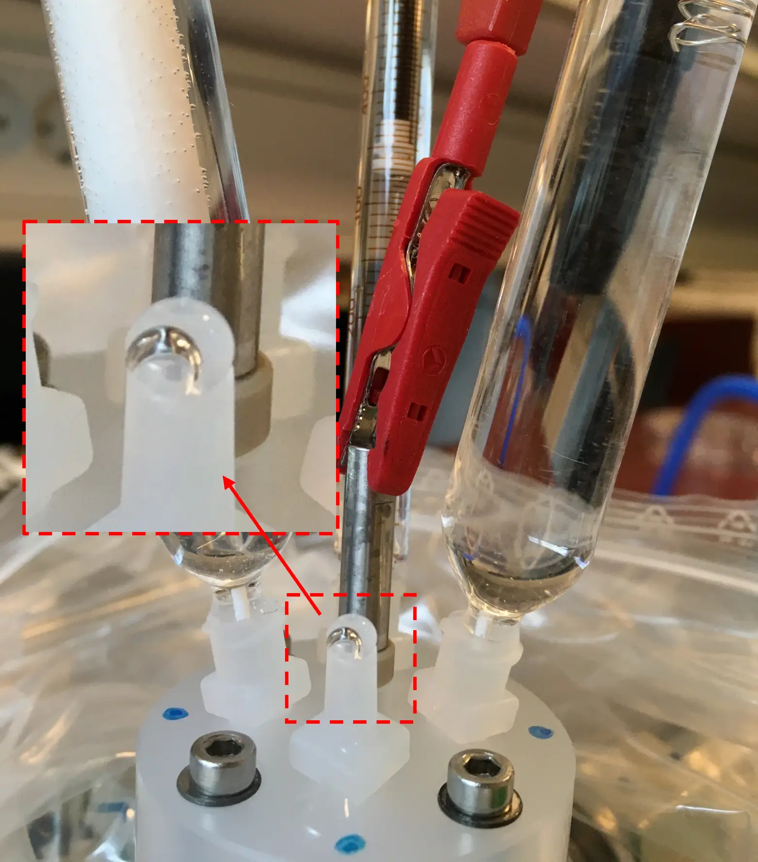 Photo of the EC-MS interface block on the lab bench with a zoomed red-dashed inset and arrow pointing to a gas bubble forming at the cell outlet