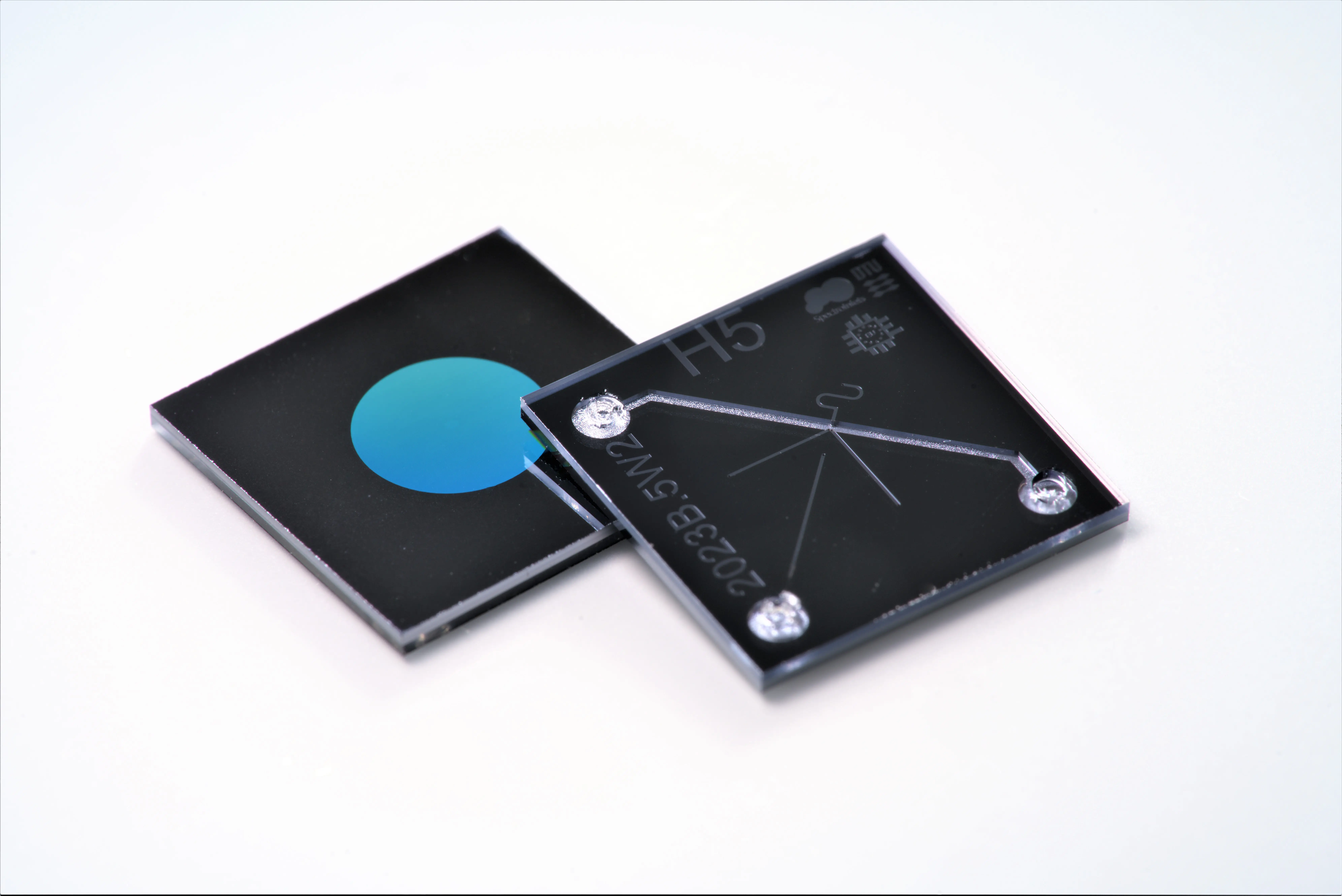 Monolithic silicon nanopore membrane microchip with microcapillary outlet, developed by Spectro Inlets