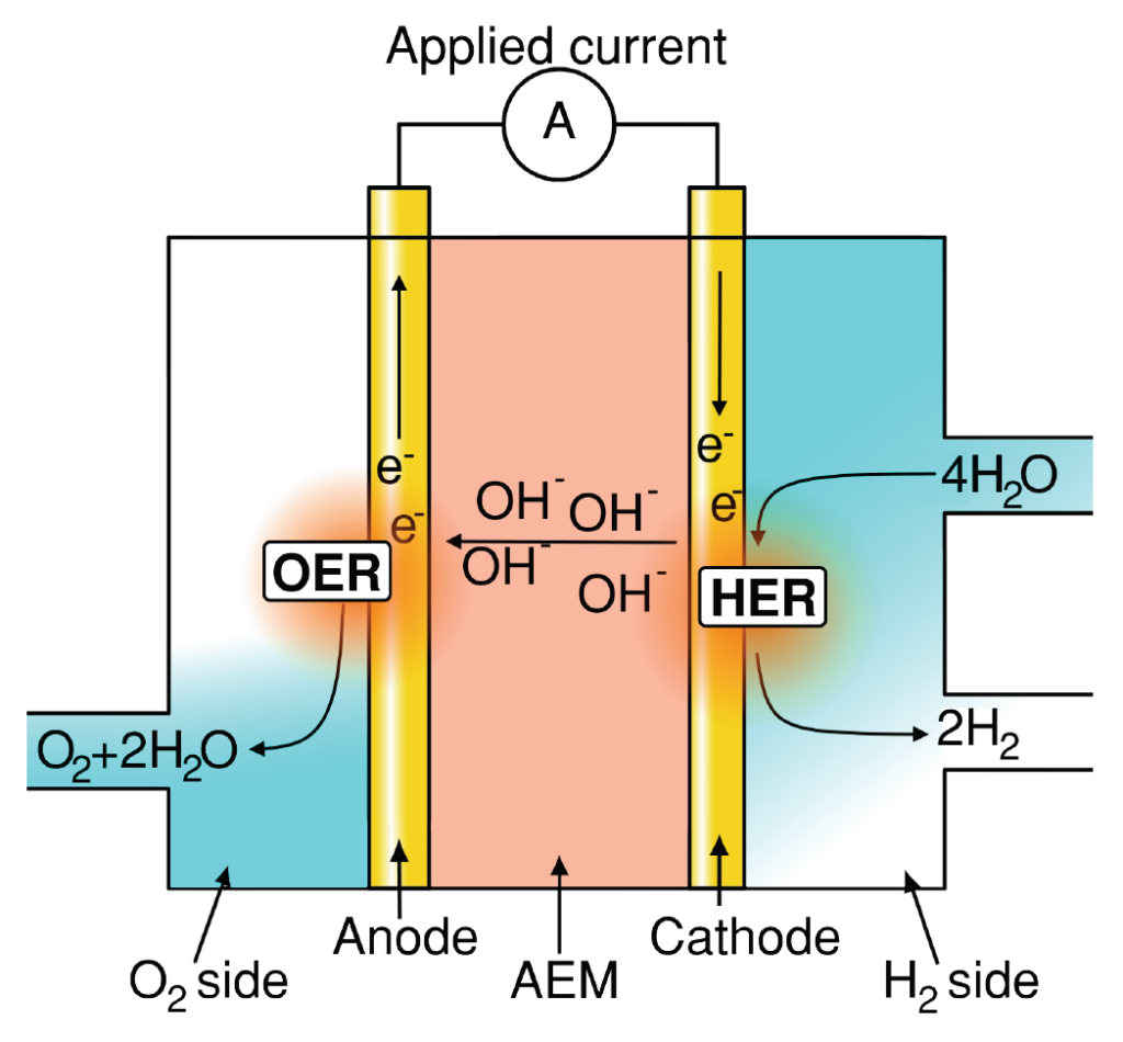 Oxygen Evolution Reaction - OER - using EC‐MS system - Spectro Inlets