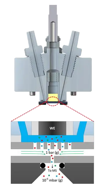 Cross-sectional diagram of the assembled EC-MS flow cell showing the working electrode and gas/vacuum interface